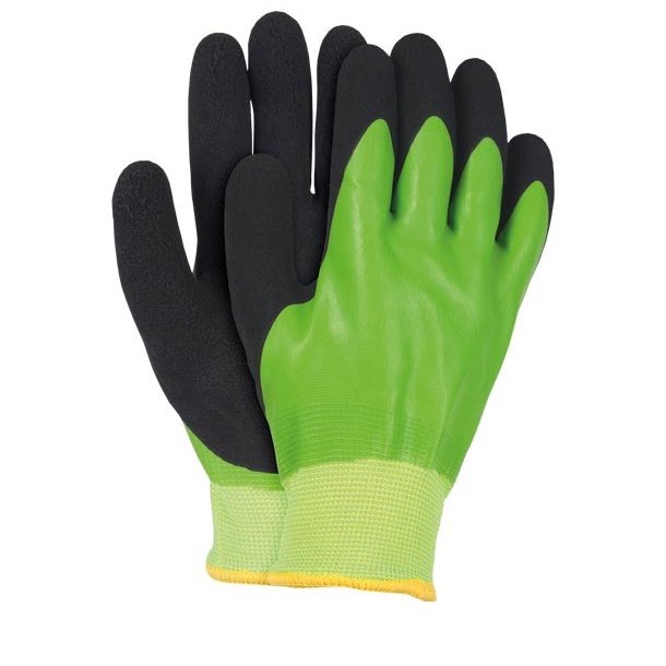 WINTER GREEN